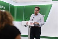 PSOE-A pide "el cese inmediato" del consejero de Salud, que defendía "la magnífica labor" de Magrudis