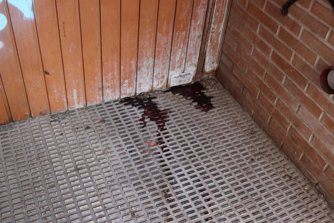 Entrada de garaje donde se quitó la vida el agresor de una mujer en Zaragoza, este lunes.