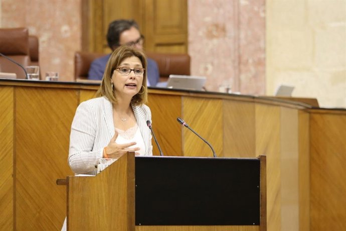 La diputada y portavoz de Cs en materia educativa, María del Mar Sánchez, en una foto de archivo