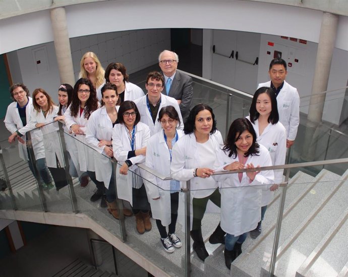 Investigadores de la Fundación de Investigación del Hospital General de Valncia liderados por Carlos Camps