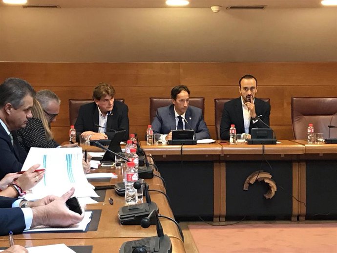 El consejero de Obras Públicas, Ordenación del Territorio y Urbanismo, José Luis Gochicoa, comparece en comisión parlamentaria