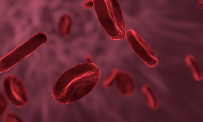 La senescencia celular se asocia con coágulos sanguíneos relacionados con la eda
