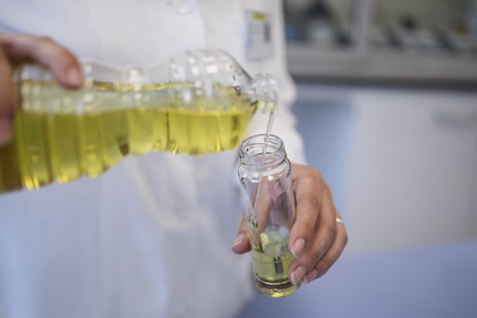 Las ventas de aceite de oliva envasados alcanzaron los 295 millones de litros hasta agosto, un 8,9% más