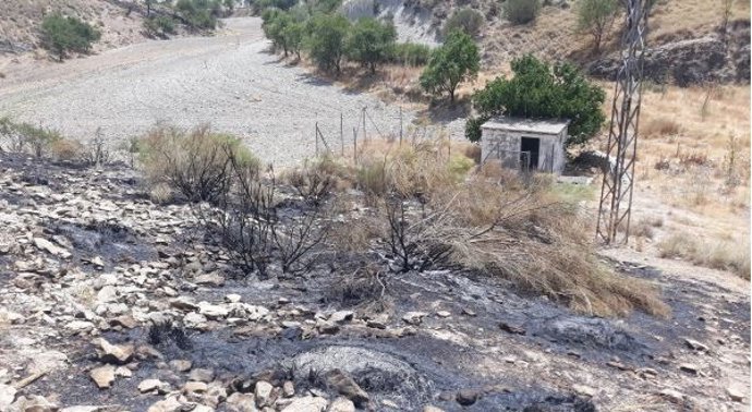 Superficie calcinada en el incendio forestal de Morelábor