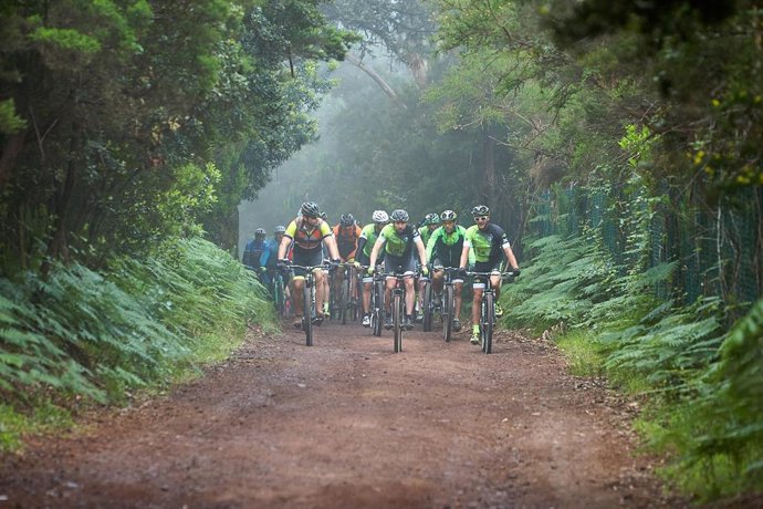 Tenerife Isla Activa