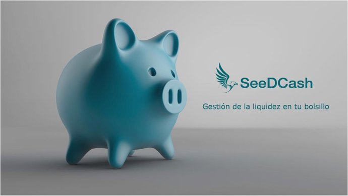 SeeDCash, visión de la liquidez de la empresa