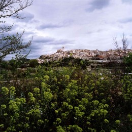VISTA GENERAL DEL MUNICIPIO DE CEHEGÍN