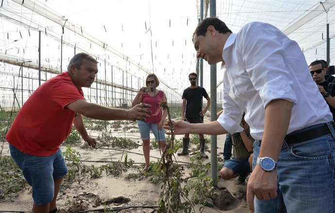 El presidente de la Junta de Andalucía, Juanma Moreno (camisa blanca), en una visita a los invernaderos de Almería, zona afectada por las fuertes lluvias de este pasado fin de semana. (Foto de archivo).