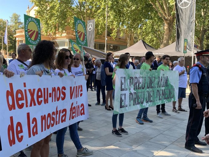 Agro.- Jord ve "justas" las protestas de productores de uva y avellana en la Fi