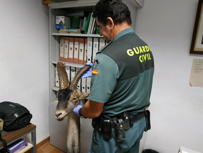 Agente de la Guardia Civil