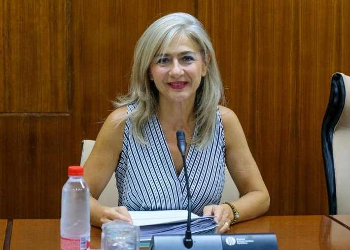 La consejera de Cultura, Patricia del Pozo, durante su intervención en una comisión parlamentaria de su área