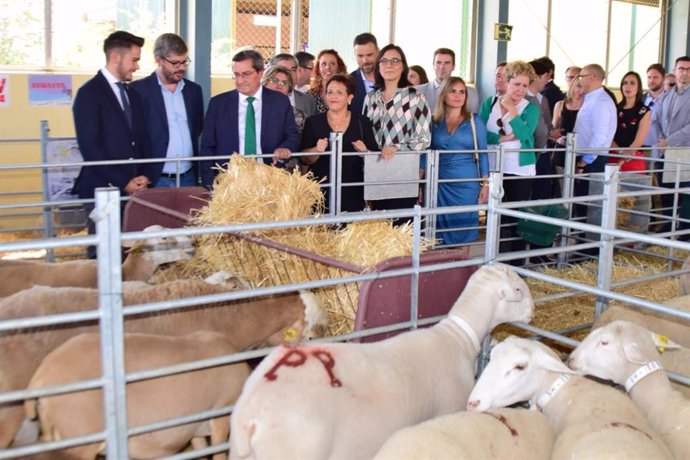 Granada.- La Junta destaca la importancia del sector ovino en la XX Feria Agroga