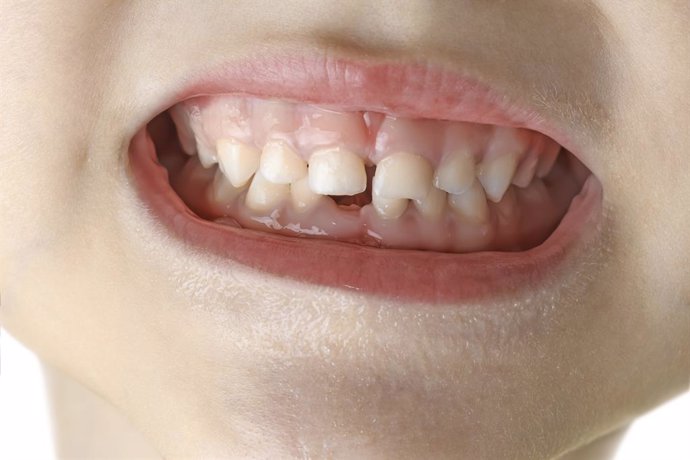 Investigadores identifican en los dientes de leche los ciclos metabólicos relaci
