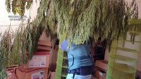 Tres detenidos en La Puebla (Sevilla) tras requisarles 40 kilos de marihuana y 9.400 euros en efectivo
