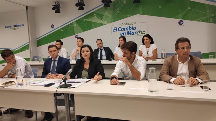 [Sevilla] Np Pp De Sevilla Aprueba Por Unanimidad El Comité De Campaña Para Las Próximas Elecciones Del 10N Que Coordinará Juan De La Rosa