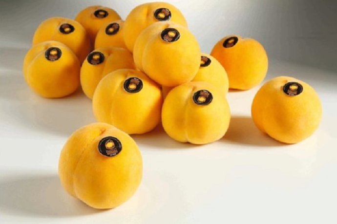 La cosecha de melocotón de Calanda de 2019 espera superar los 2,5 millones de kilos del año pasado