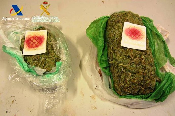 Marihuana intervenida por la Guardia Civil.
