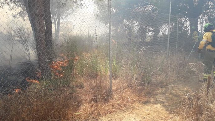 Efectivos del Infoca trabajan en la extinción de un incendio en Cartaya (Huelva).
