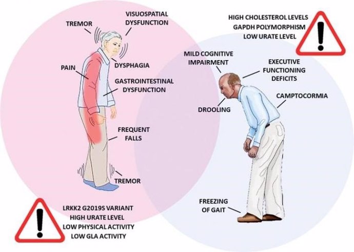 Infografía de las diferencias en la sintomatología del Parkinson y factores de riesgo entre mujeres y hombres