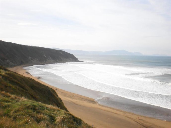 Playa vizcaína