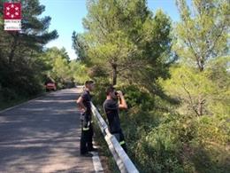 Castellón.- Sucesos.- Buscan a dos toros de lidia escapados de una ganadería en 
