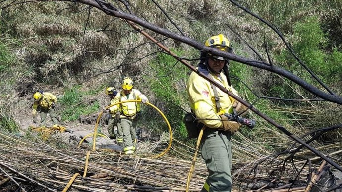 Efectivos del Infoca en una imagen de archivo.