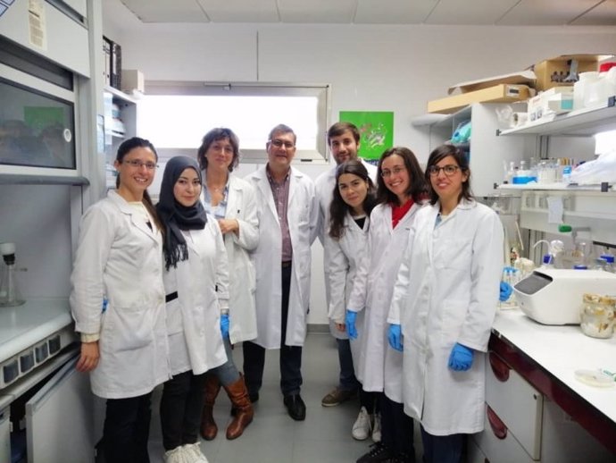 El equipo de investigación Biotecnología de Algas, responsable del estudio.