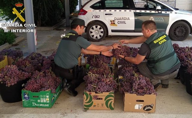 Dos agentes con la uva recuperada.