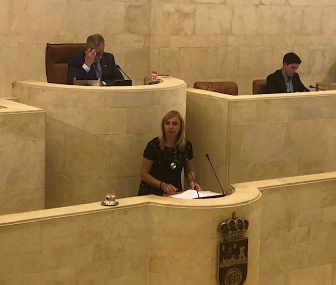 La número 2 del PSOE de Cantabria y portavoz del grupo parlamentario socialista, Noelia Cobo