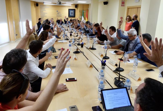Asamblea general de la Mancomunidad de Municipios de la Costa del Sol occidental, presidida por José Antonio Mena.
