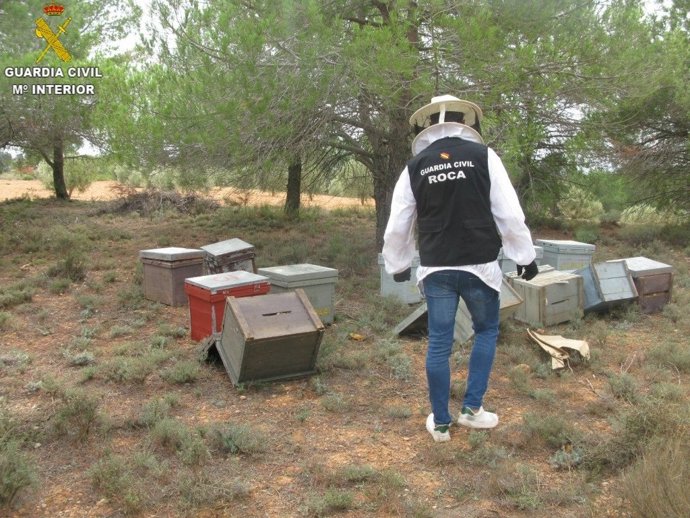 Tres detenidos por hurtos de colmenas