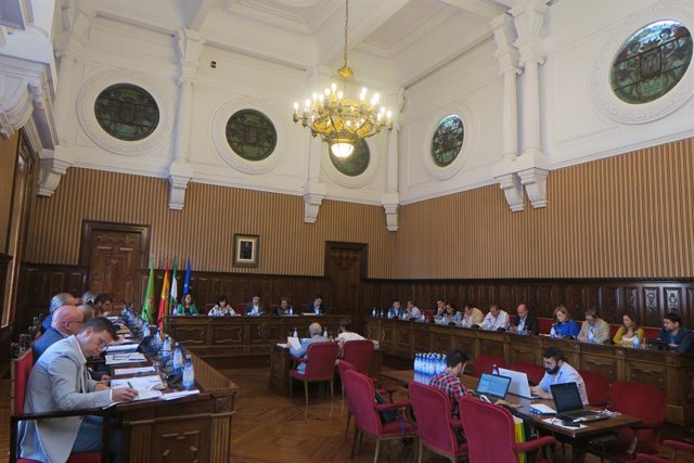 Pleno de la Diputación de Jaén.