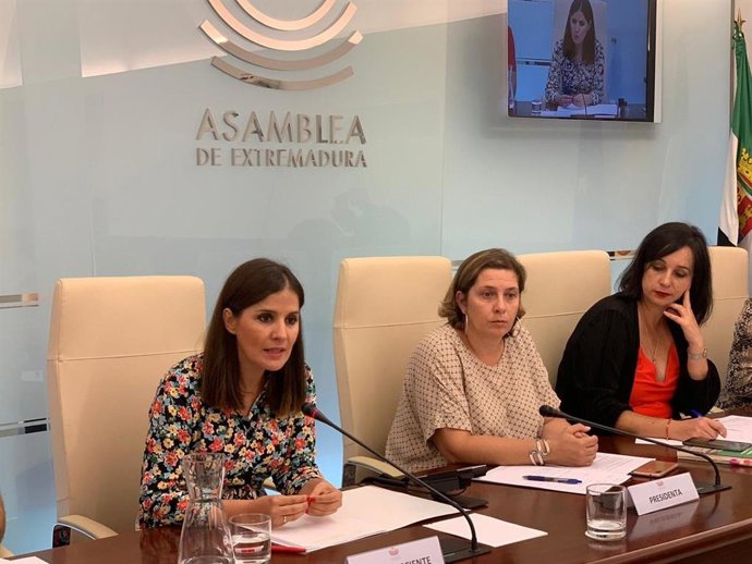Isabel Gil Rosiña en su comparecencia en la Asamblea para informar sobre líneas de actuación de su consejería esta legislatura