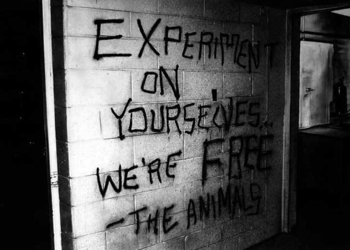 EXPERIMENT ON YOURSELVES WERE FREE  THE ANIMALS (Not Quite A Terrorism)  De Quique Ortiz