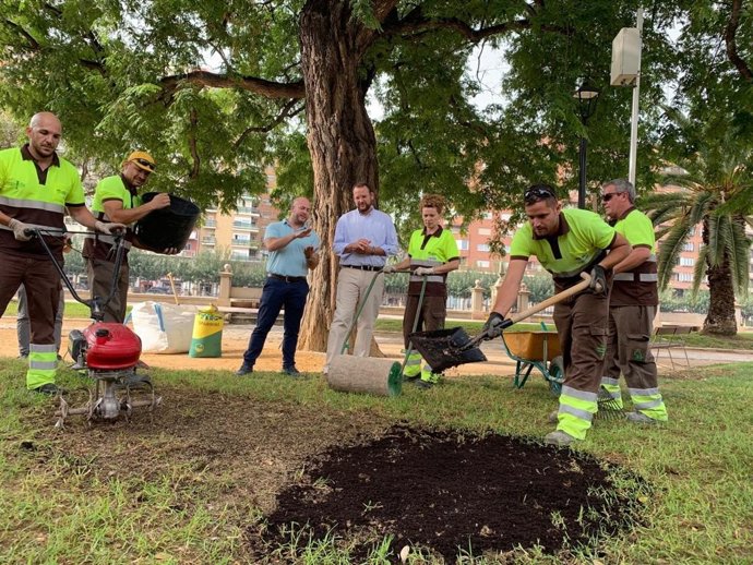El concejal de Desarrollo Urbano y Modernización de la Administración, José Guillén, ha presentado esta mañana el Plan de Resiembra 2019-2020