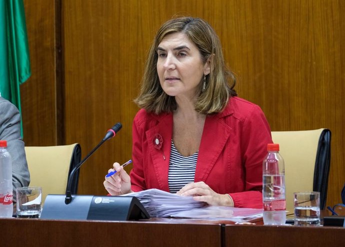 La consejera de Empleo, Rocío Blanco, en comisión parlamentaria, en una foto de archivo.
