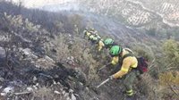 Controlado el incendio forestal en Castellar de la Frontera (Cádiz), que queda en conato con 0,5 hectáreas afectadas