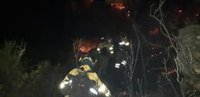 Desactivado el nivel 1 del Plan de Emergencias por el incendio forestal de Casares (Málaga), ya estabilizado