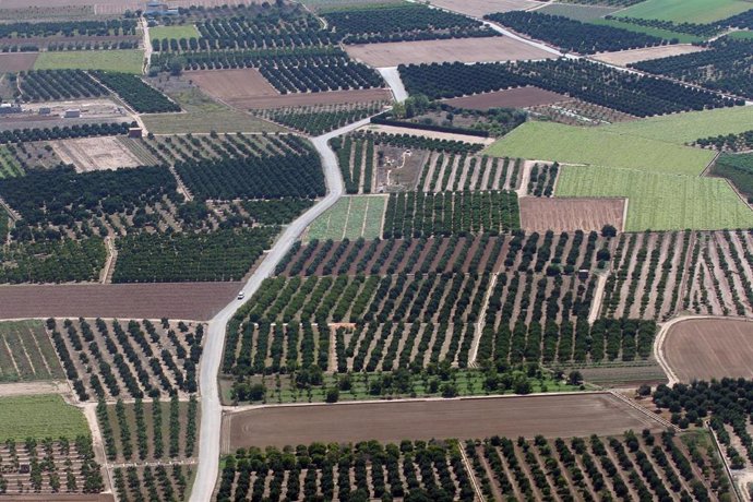 Imagen de archivo de campo valenciano