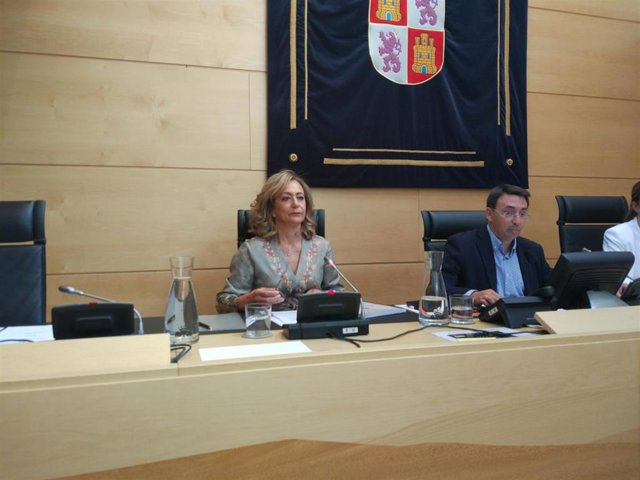 La fiscal superior de Castilla y León, Lourdes Rodríguez Rey, durante su comparecencia en las Cortes.