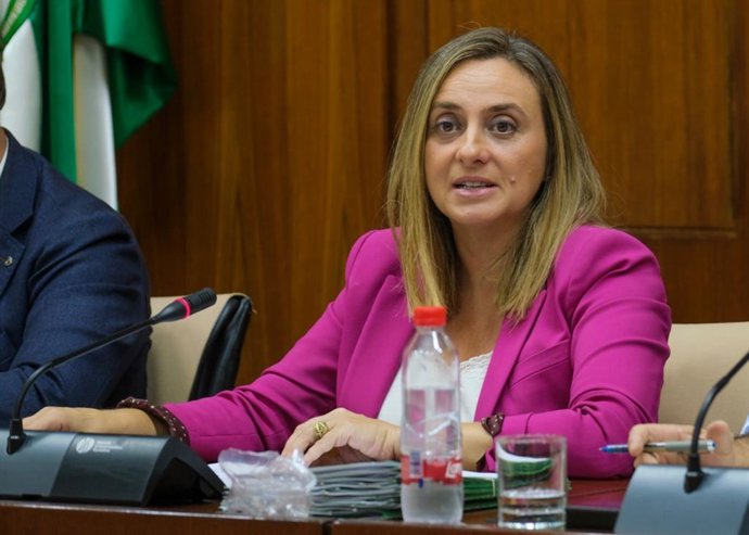 La consejera de Fomento, Infraestructuras y Ordenación del Territorio, Marifrán Carazo, en comisión parlamentaria