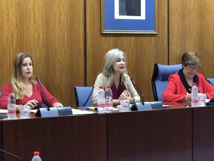 Patricia del Pozo en la Comisión de Cultura