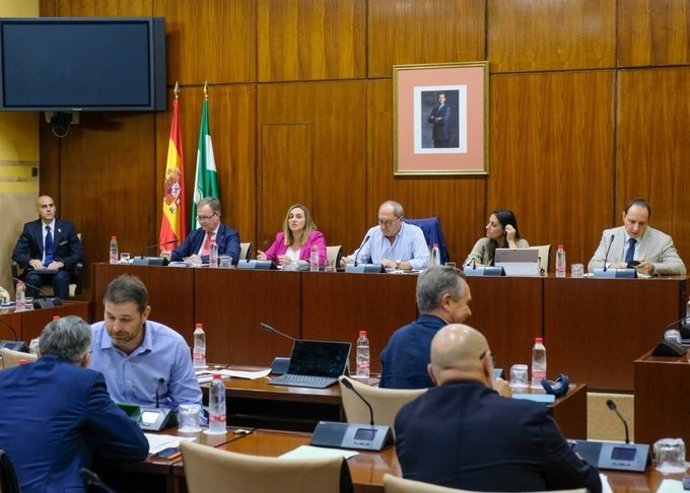 La consejera de Fomento, Infraestructuras y Ordenación del Territorio, Marifrán Carazo, comparece en comisión parlamentaria.