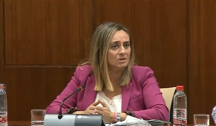 Comparecencia de la consejera de Fomento, Marifrán Carazo, este miércoles en comisión.