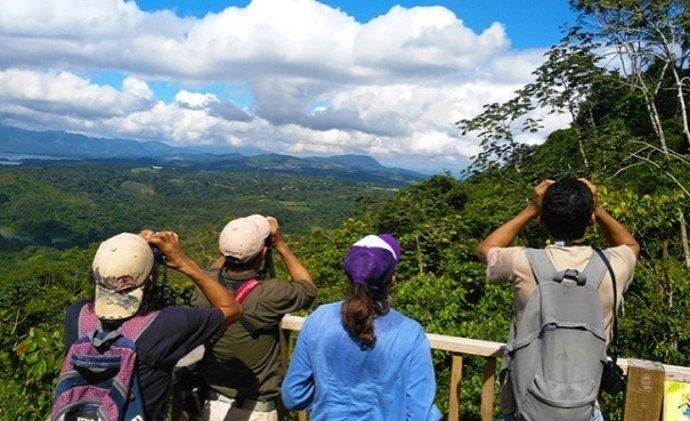 La organización SEO/BirdLife anima a las universidades españolas a promover convenios de prácticas que fomenten la "concienciación mediambiental" de los jóvenes "para conseguir el verdadero cambio social".