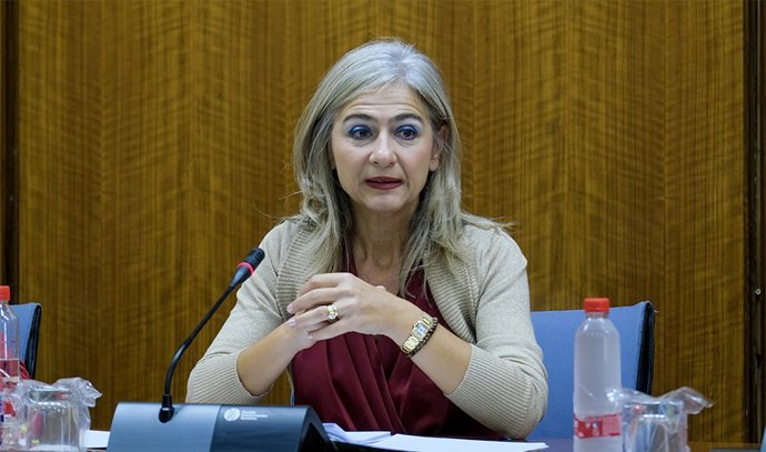 Patricia del Pozo en la Comisión de Cultura