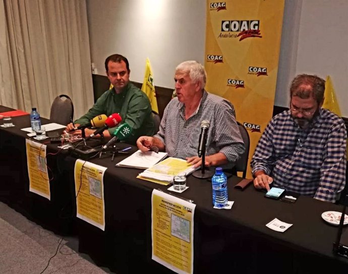 COAG-A defiende la manifestación del 10 de octubre en Madrid porque el olivar ce