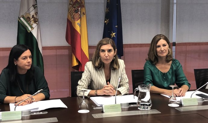 La consejera de Empleo, Formación y Trabajo Autónomo, Rocío Blanco, preside el pleno del Consejo de Entidades de Economía Social.