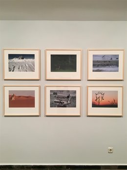 Fotografías expuestas en la muestra 'Foto-Síntesis' en la sala 4 espacio de la DPZ