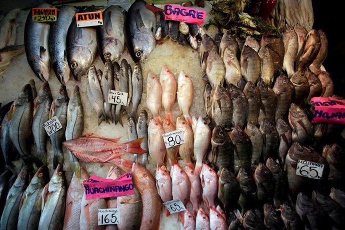 Pescado en el mercado de Ciudad de México